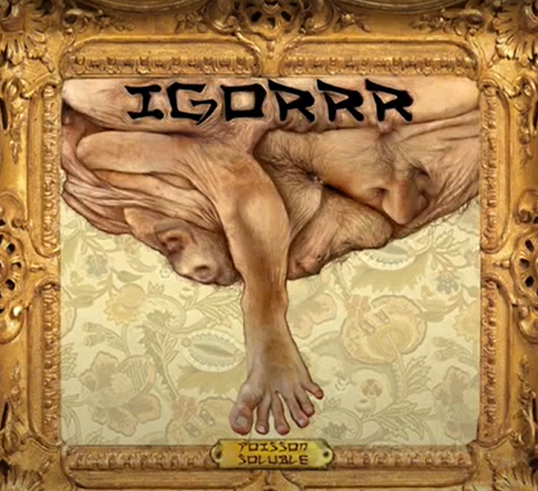 Poisson Soluble - Couverture de l'album d'Igorrr