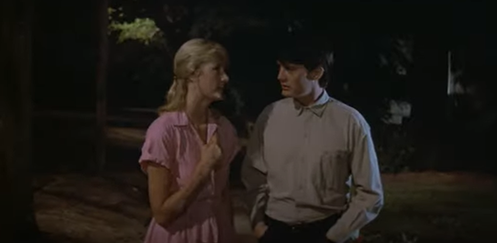 Jeffrey et Sandy, jeunes figures idéalisées du rêve américain, en contrepoint de l’univers corrompu que révèle l’enquête dans Blue Velvet.